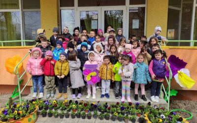 Инициатива на Община Нови пазар – „Да засадим 1000 теменужки“